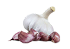 Часник