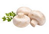 Печериці