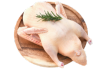 Качка